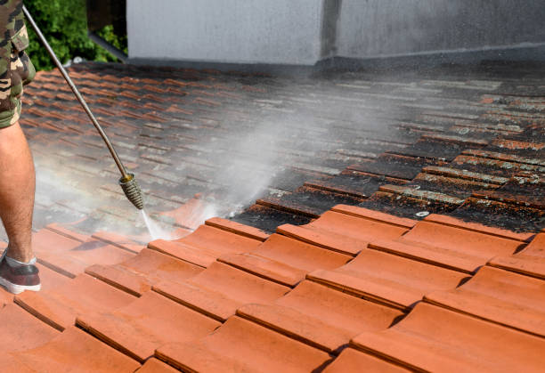 Best Exterior Home Cleaning  in Union Park, FL